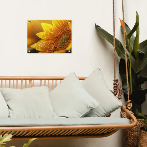Zonnebloem - Dauwdruppels - Geel - Zonlicht tuinposter los doek klein -sfeer7