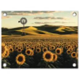 Zonnebloem - Veld - Windmolen tuinposter los doek klein -3d