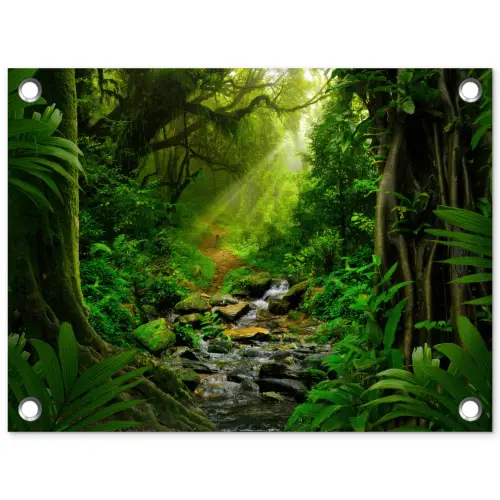 Zonnige Stralen in het Regenwoud tuinposter los doek klein -3d
