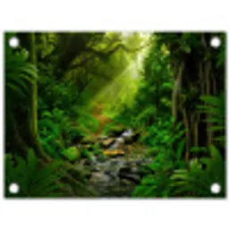 Zonnige Stralen in het Regenwoud tuinposter los doek klein -3d