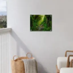 Zonnige Stralen in het Regenwoud tuinposter los doek klein -sfeer8