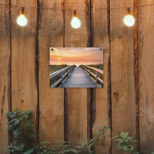 Zonsonderang - Zee - Pad - Gras - Duin - Vogels tuinposter los doek klein -sfeer1