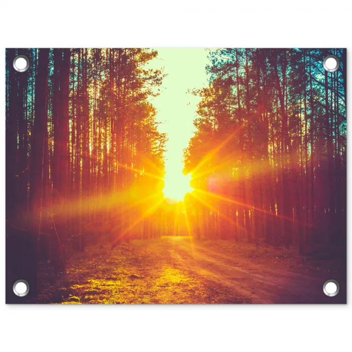 Zonsondergang - Bomen - Bos - Natuur tuinposter los doek klein -3d