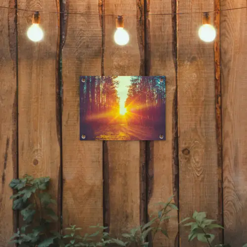Zonsondergang - Bomen - Bos - Natuur tuinposter los doek klein -sfeer1