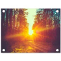 Zonsondergang - Bomen - Bos - Natuur tuinposter los doek klein -3d