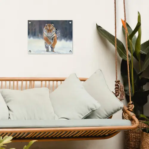 Tijger rennend door de sneeuw tuinposter los doek klein -sfeer7