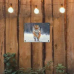 Tijger rennend door de sneeuw tuinposter los doek klein -sfeer1