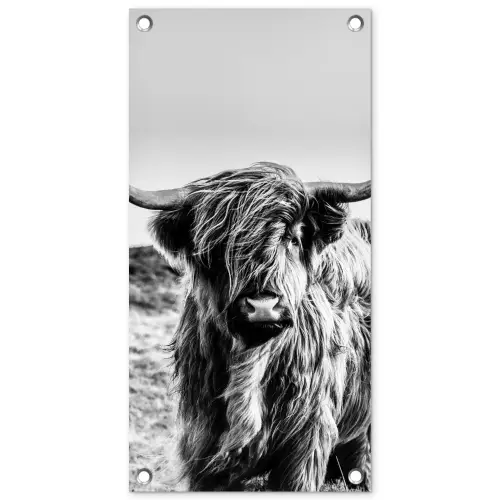 Stoere Hooglander tuinposter los doek klein -3d