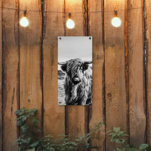 Stoere Hooglander tuinposter los doek klein -sfeer1