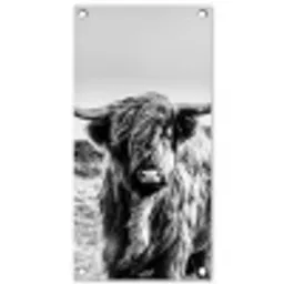 Stoere Hooglander tuinposter los doek klein -3d