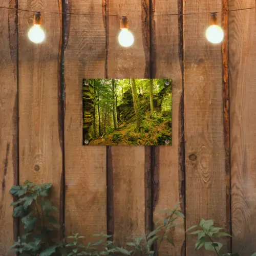 Bomen - Steen - Bos - Natuur - Planten tuinposter los doek klein -sfeer1