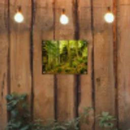 Bomen - Steen - Bos - Natuur - Planten tuinposter los doek klein -sfeer1