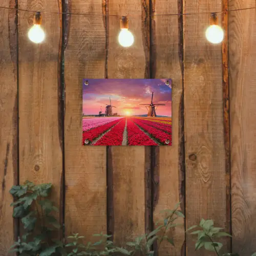 Tulpenvelden met windmolens bij zonsondergang tuinposter los doek klein -sfeer1