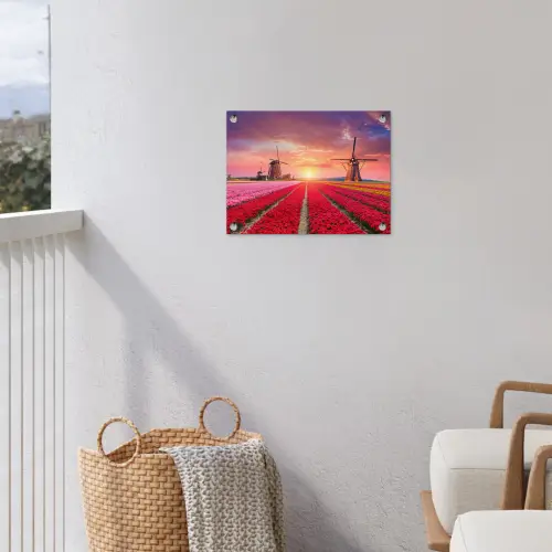 Tulpenvelden met windmolens bij zonsondergang tuinposter los doek klein -sfeer8