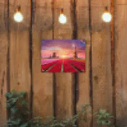 Tulpenvelden met windmolens bij zonsondergang tuinposter los doek klein -sfeer1