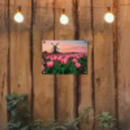 Tulpen - Molen - Nederland tuinposter los doek klein -sfeer1