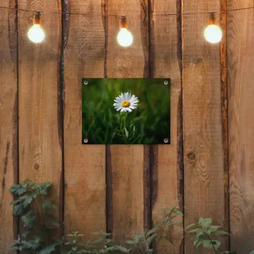 Wit - Madeliefje - Bloem - Gras tuinposter los doek klein -sfeer1