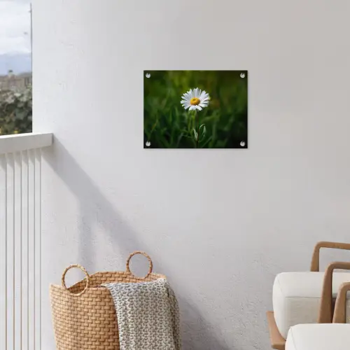 Wit - Madeliefje - Bloem - Gras tuinposter los doek klein -sfeer8