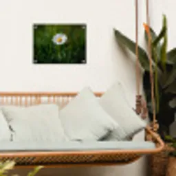 Wit - Madeliefje - Bloem - Gras tuinposter los doek klein -sfeer7