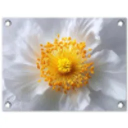 Wit - Bloem - Elegant tuinposter los doek klein -3d