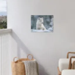Wolf - Pup - Sneeuw tuinposter los doek klein -sfeer8