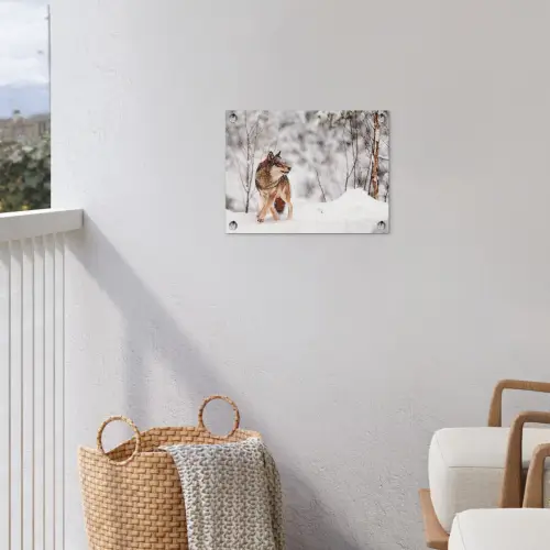Wolf - Winter - Sneeuw - Natuur - Dieren tuinposter los doek klein -sfeer8