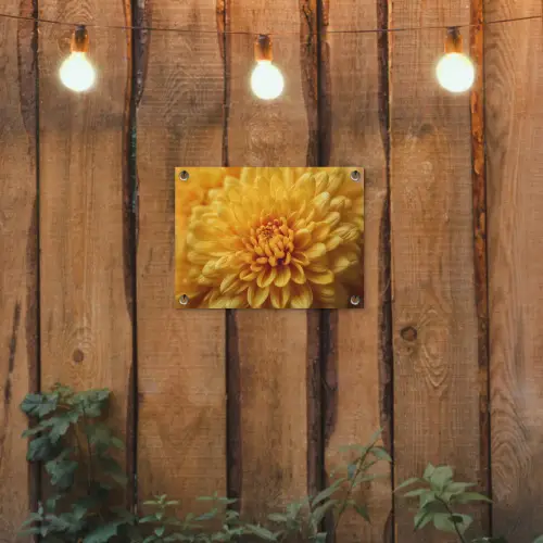 Geel - Chrysant - Zachtheid tuinposter los doek klein -sfeer1