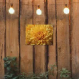 Geel - Chrysant - Zachtheid tuinposter los doek klein -sfeer1