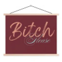 Bitch please - Rood - Blauw textielposter latten blank klein -3d