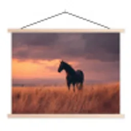 Paard - Wolken - Open veld textielposter latten blank klein -3d