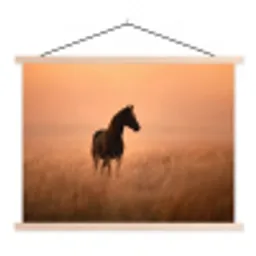 Paard - Grasveld - Zonsondergang textielposter latten blank klein -3d