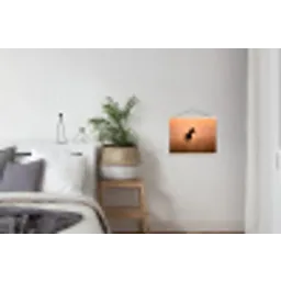 Paard - Grasveld - Zonsondergang textielposter latten blank klein -woonkamer