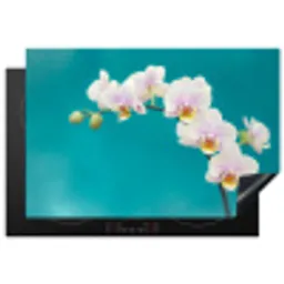 Aqua Bliss Orchideeën Inductie beschermer vinyl 3mm klein -3d