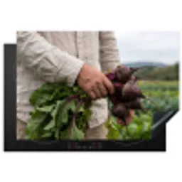 Bieten - Vers - Moestuin Inductie beschermer vinyl 3mm klein -3d
