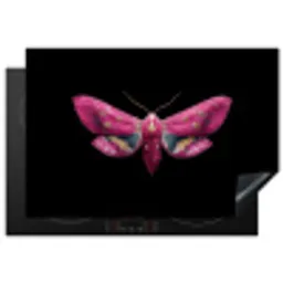 Vlinder - Roze - Nachtvlinder Inductie beschermer vinyl 3mm klein -3d