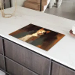 Kat - Geschilderd - Artistiek - Wit Inductie beschermer vinyl 3mm klein -sfeer8