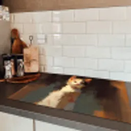 Kat - Geschilderd - Artistiek - Wit Inductie beschermer vinyl 3mm klein -sfeer3
