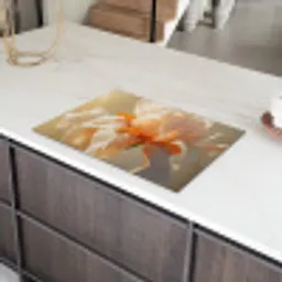 Close up - Oranje - Iris Inductie beschermer vinyl 3mm klein -sfeer8