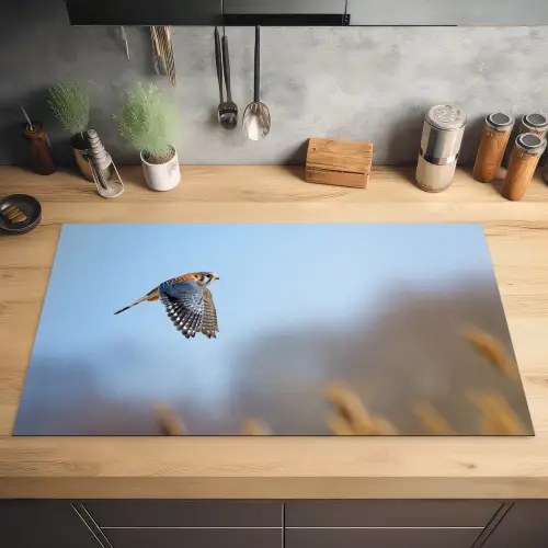 Kleurrijke valk aan het vliegen Inductie beschermer vinyl 3mm middel -sfeer5