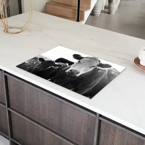 Koeien - Zwart - Wit Inductie beschermer vinyl 3mm klein -sfeer8