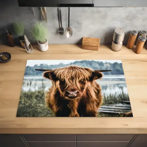 Koeien - Schotse hooglander - Bruin - Natuur Inductie beschermer vinyl 3mm middel -sfeer5