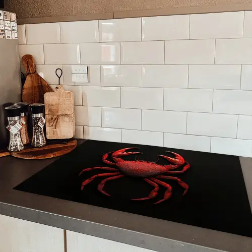 Krab - Rood - Vissen - Schaaldieren Inductie beschermer vinyl 3mm klein -sfeer3