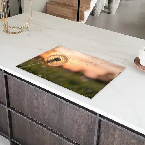 Paardenbloem - Zonsondergang - Veld Inductie beschermer vinyl 3mm klein -sfeer8