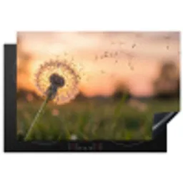 Paardenbloem - Zonsondergang - Veld Inductie beschermer vinyl 3mm klein -3d
