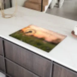 Paardenbloem - Zonsondergang - Veld Inductie beschermer vinyl 3mm klein -sfeer8