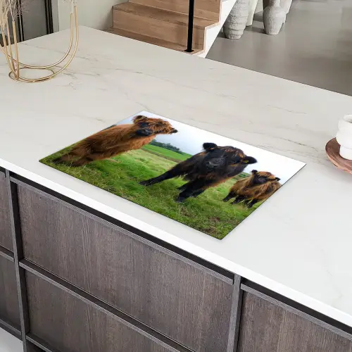 Duo van de Weide Inductie beschermer vinyl 3mm klein -sfeer8