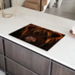 Vurige Manen Inductie beschermer vinyl 3mm klein -sfeer8