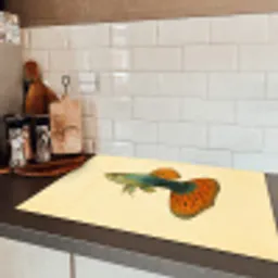 Vis - illustratie - Stippen - Oranje Inductie beschermer vinyl 3mm klein -sfeer3