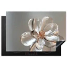 Bloem - Glazen - Doorzichtig Inductie beschermer vinyl 3mm klein -3d