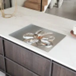 Bloem - Glazen - Doorzichtig Inductie beschermer vinyl 3mm klein -sfeer8